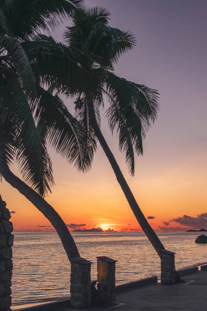 istock Last Sunbeams Of A Beautiful Sunset 2186246276