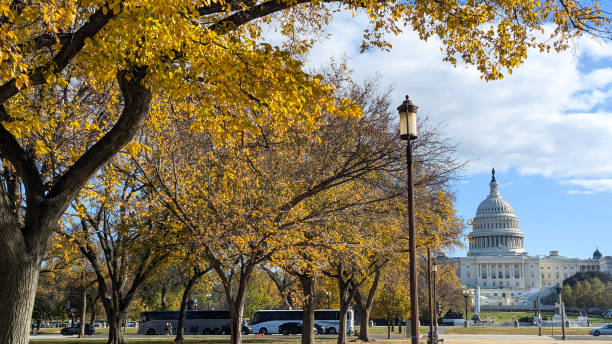 istock Capitol framed by autumnal leaves 2186252536