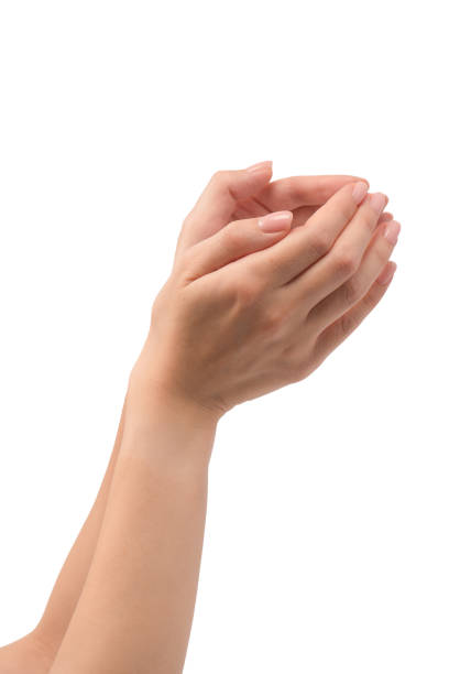 istock Woman hands with nude manicure isolated on a white background. 2186260486