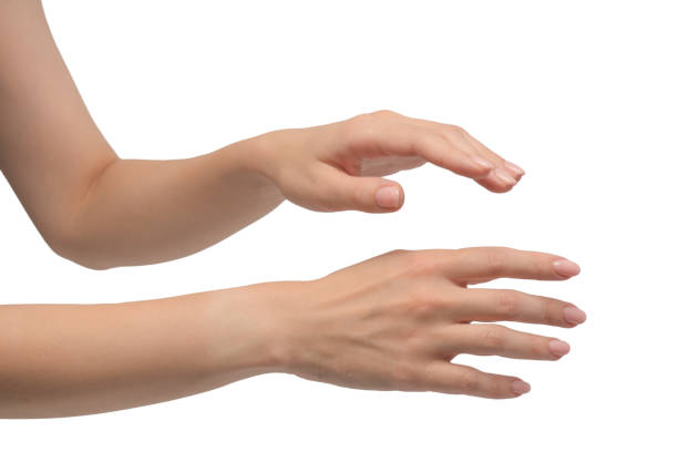 istock Woman hands with nude manicure isolated on a white background. 2186260490