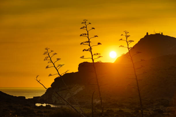 Coastal landscape at sunset. Cabo de Gata Natural Park, Andalusia Spain.