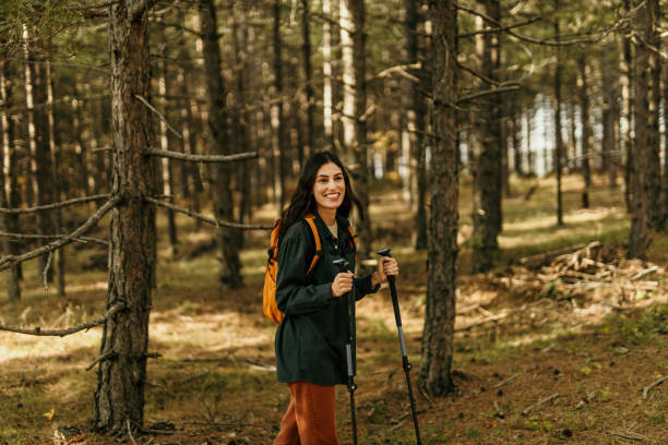 istock Walking alone through the sunny woodland 2186277973