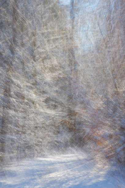 istock ICM picture of snowfall in the forest 2186294867