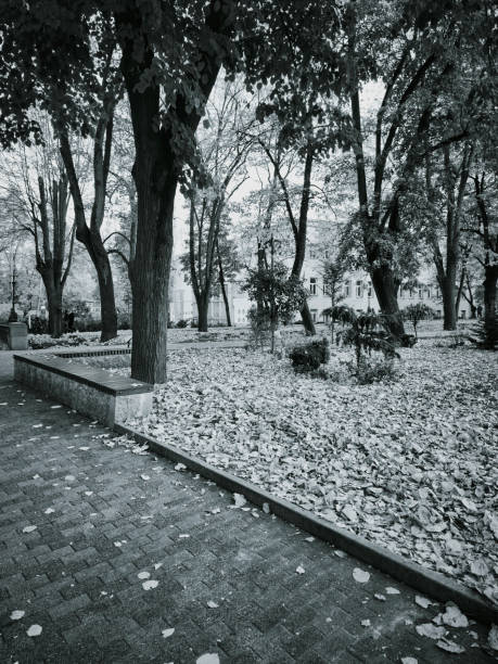 Detail in the park