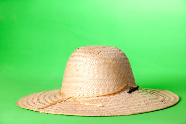 Straw sombrero on green background. Sombrero concept. Hat concept. copy space.