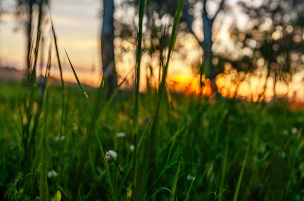 Nature and Sunset Photo  from İzmir Turkiye