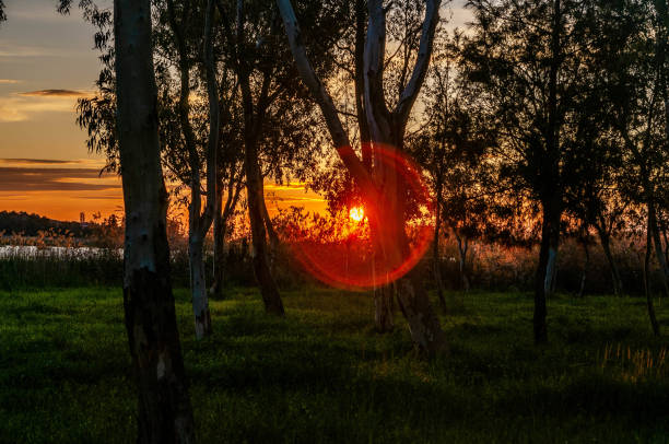 Nature and Sunset Photo  from İzmir Turkiye