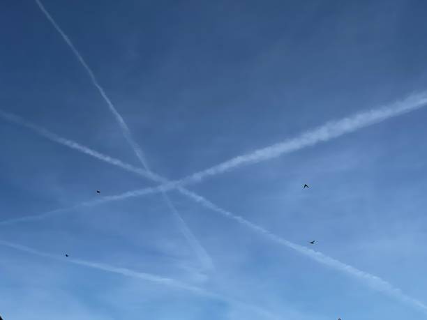 istock Contrails and Birds in the Sky 2186330302