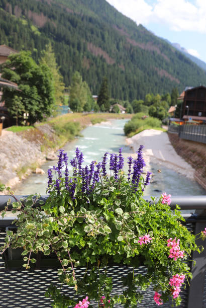istock stream with fresh mountain water current with pot of flowering plants 2186332125
