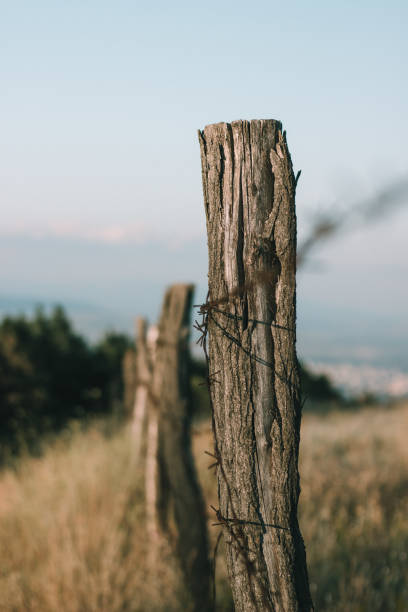 istock Border fence with wood and wire mesh 2186332262