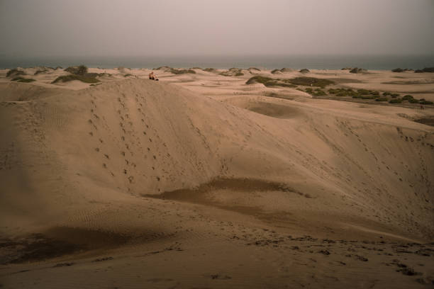 Sand dunes in Tenerife island, Canary islands