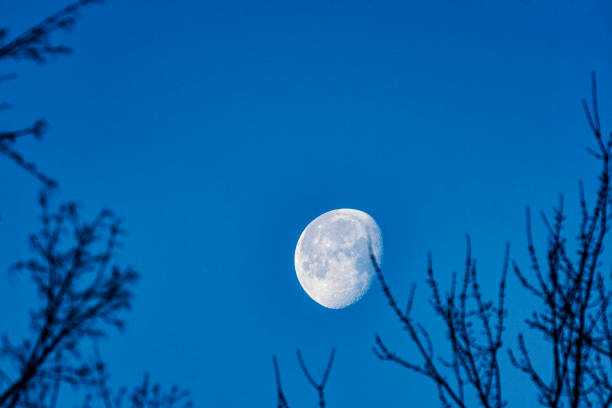 January early morning \