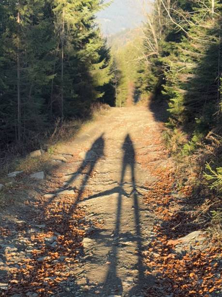 Shadows of people against the background of a road leading into the forest