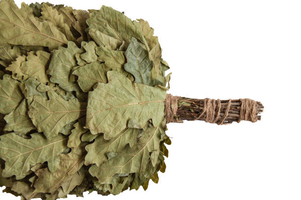 istock Dry oak branches with foliage woven into a bath broom are isolated on a white background 2186345339