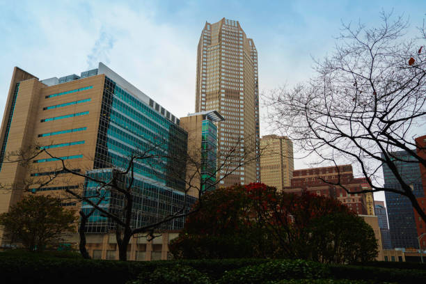 Pittsburgh Downtown Skyline in Winter Rain over the City Garden Bushes in Pennsylvania, USA: A Metropolitan Landscape with Green Space