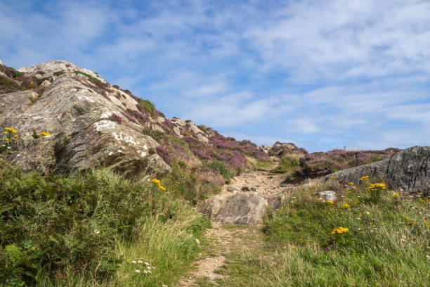 istock Footpath through the rocks and heather at South Stack, Anglesey, Wales, United Kingdom 2186351106