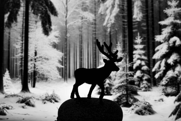 A black and white cartoon rabbit is standing in a snowy field. The rabbit is looking to the right