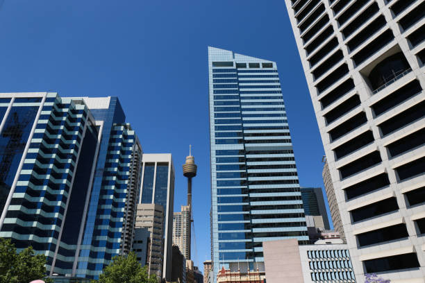A view of the Sydney city skyline from Market Street. Blue sky.