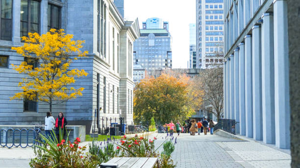 Montreal, Quebec Canada - Oct 27 2024: McGill University Open Doors event with lots of students on sunny fall autumn day.