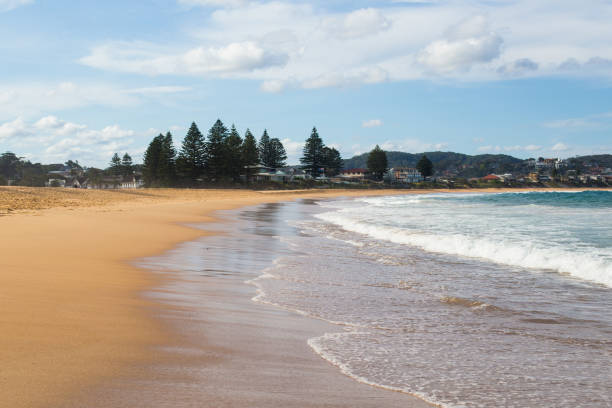 istock A peaceful beach scene with trees and blue sky 2186363288