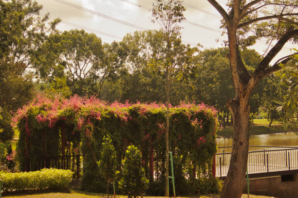 A park in a peaceful place featuring plants and leaf decorations that blend modern style with nature. The warm lighting and green surroundings make it a great spot to relax in Taman Tasik Puteri in Ijok Selangor.