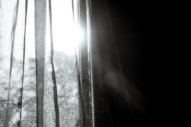 Sunlight from behind the bedroom window
