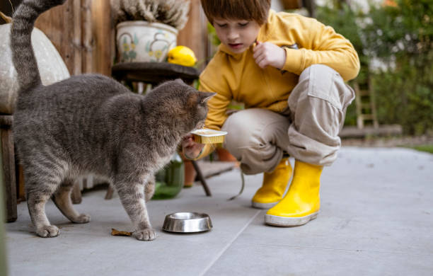 istock Kid feeding cat in front of the house 2186393141