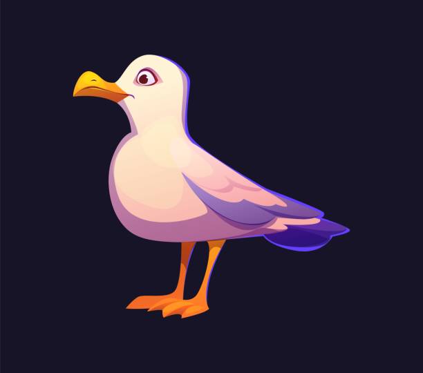 A Pirate's Adventure Mad Gulls A Pirate's Adventure Mad Gulls
