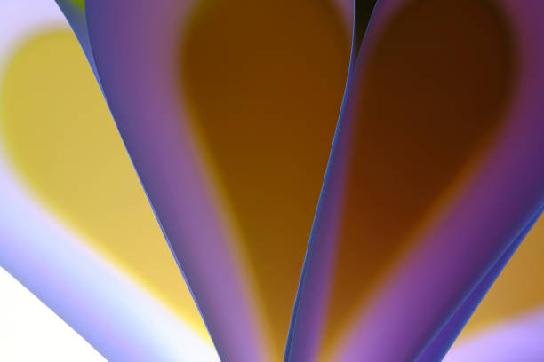 Abstract yellow lilac macro background, smooth lines of paper sheets