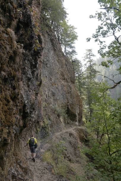 istock Hiker on Rocky Trail in Forested Area 2186404744