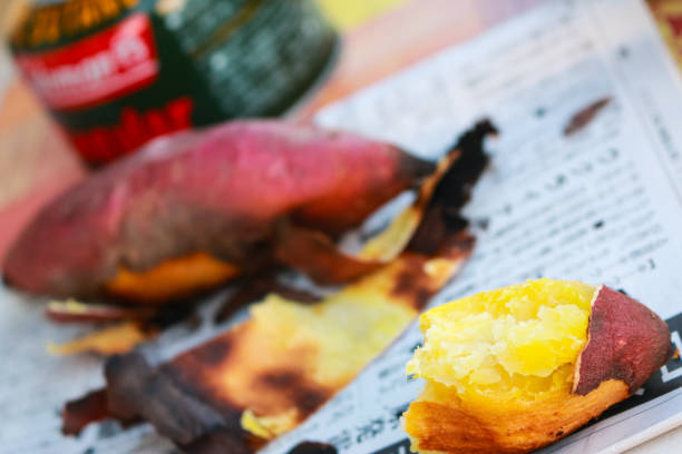 Sweet potatoes roasted over a campfire outdoors. Baked Japanese Sweet Potatoes  (Yaki Imo) is the classic Japanese autumn and winter street snack.