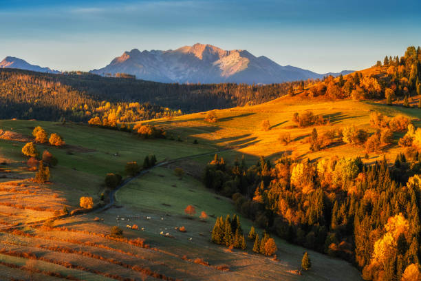 istock Golden Autumn Hills in Mountain Landscape 2186411266