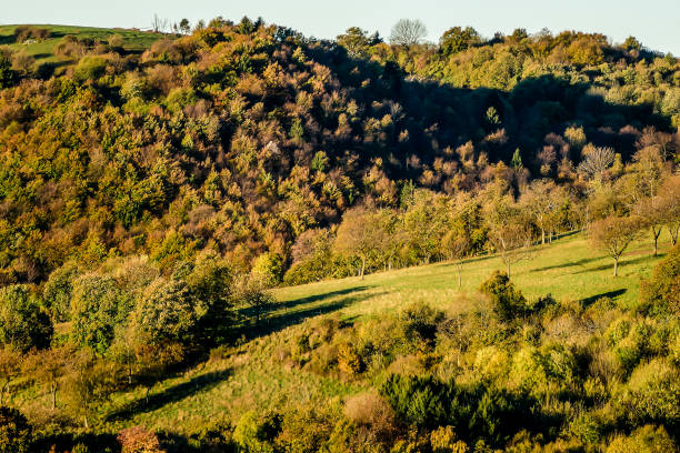Photo Picture Scenic photography landscape European natural countryside
