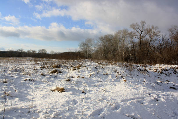 istock snow covered trees in the winter 2186412501