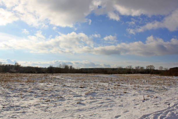istock snow covered trees in the winter 2186412504