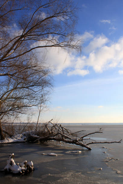 istock a sunset with a lake and a few trees in the background 2186412574