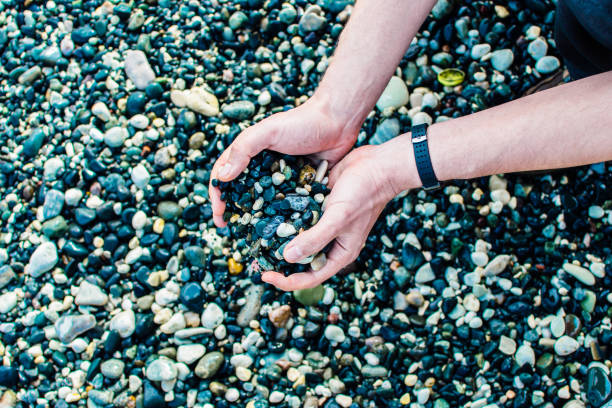 istock a man holds pebbles from the sea coast in his hands 2186413251