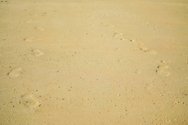 yellow sand desert near Larnaca, Cyprus