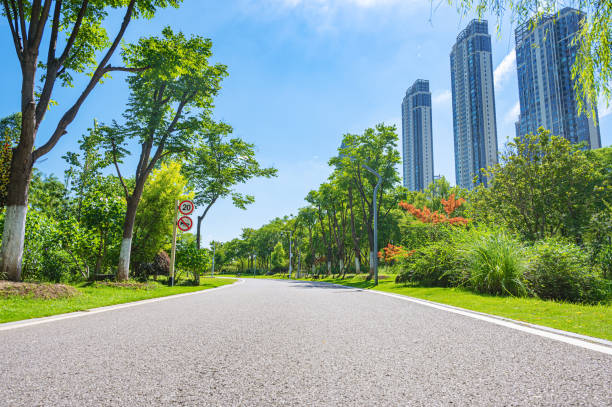 Curved asphalt road through the green city park