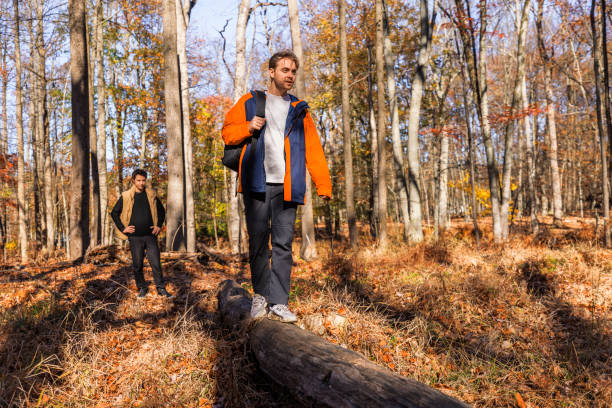 Free Stock Photo of A man walking on a fallen tree | Download Free ...