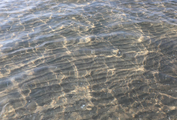 Sea surface under blue moonlight of the deep sea with copy space.