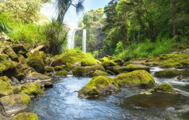 Scenic view of a beautiful river flowing over mossy rocks with lush green foliage and an idyllic waterfall in background.