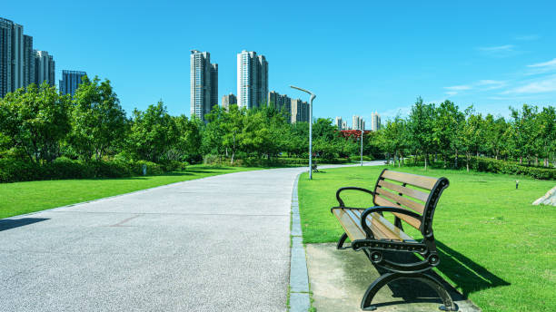 istock Curved footpath through the green city park 2186437305