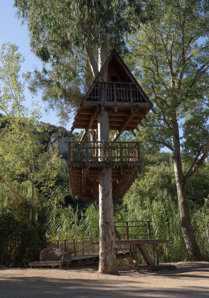 istock Wooden tree house built around a tall tree trunk in a forest 2186439470