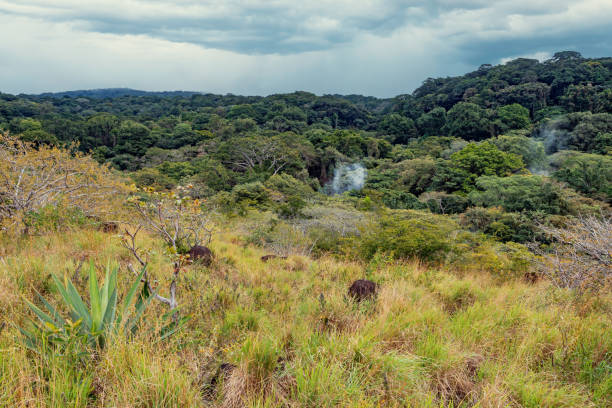 Landscape of the Rincon de La Vieja Volcano and National Park in Guanacaste, Costa Rica