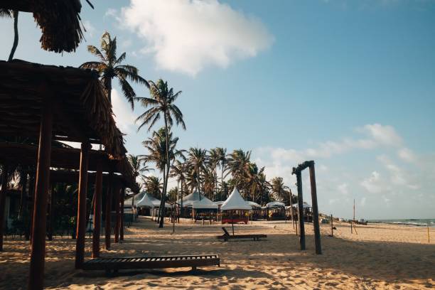 istock Tropical beach with palm trees and tents under blue sky. 2186441246