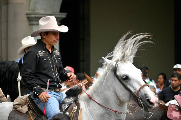 conde, bahia, brasil - january 8, 2022: Cowboy wearing traditional leather clothes with his horse on a farm in the city of Conde.