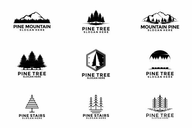 Set Of Pine Tree logo icon design illustration vector, Evergreen logo design template collections
