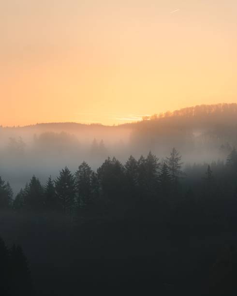 istock Sunrise over a misty forest landscape. 2186443464
