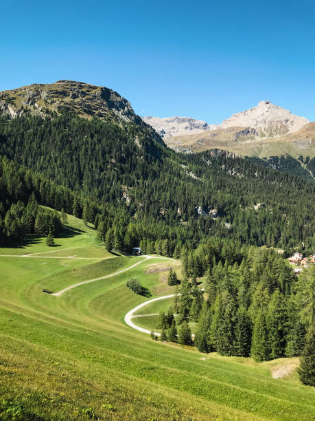 istock Valley with grass and trees, Piz Arblatsch mountain in the background. 2186449393